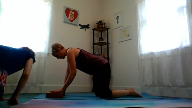 Are you Down Dog смотреть онлайн