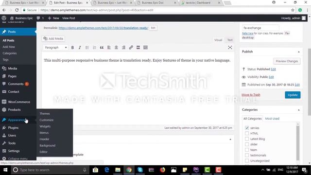 Demo SetUp Business Epic Themes in WordPress смотреть онлайн