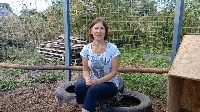 Супер средство от куриных блох и клещей. ПРОВЕРЕНО опытным путём смотреть онлайн