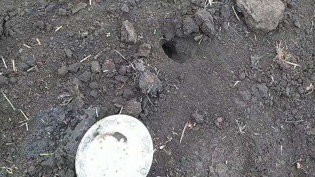 Готовка с Использованием Оригинальных Ингредиентов