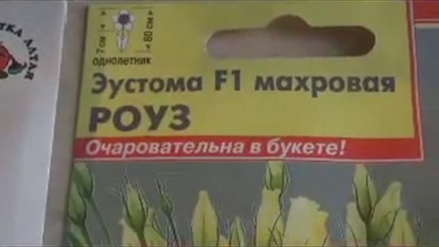 ПРЕДПРАЗДНИЧНЫЕ МАГАЗИНЫ ТЦ И ЛЕРУА МЕРЛЕН/ПОКУПКИ смотреть онлайн