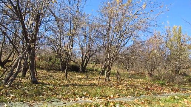 Аромат её уст – пчёлок липовый мёд... смотреть онлайн