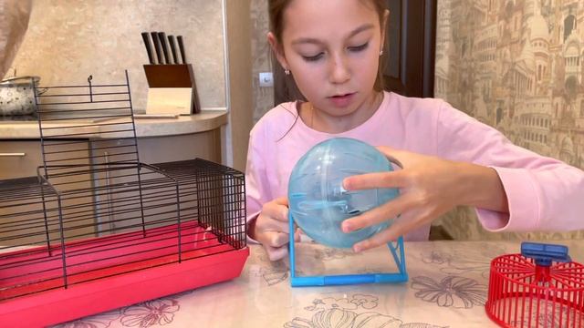 Милана дрессирует хомяка ? Печём имбирные печенья! смотреть онлайн