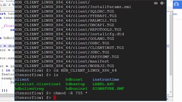 SAP HANA Academy - EML: 11. Python 2 HANA [2.0 SPS 02] смотреть онлайн