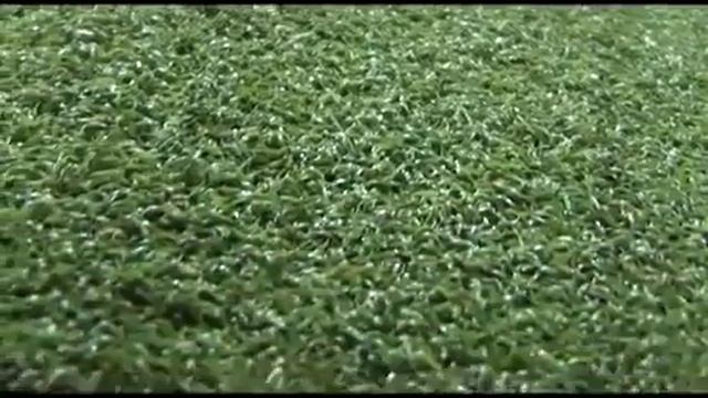 Так уж удобен искусственный газон и жидкий газон смотреть онлайн