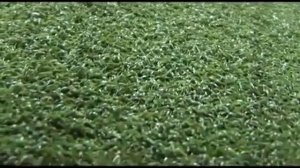 Так уж удобен искусственный газон и жидкий газон