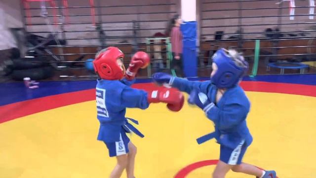 Спарринг по правилам боевого самбо смотреть онлайн