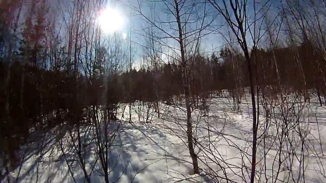 Последний выход на лыжах: солнце, лес, следы, позитив (выход в лес) смотреть онлайн