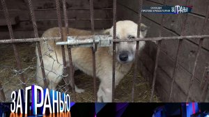 «За гранью»: «Соседи против крематория» | Выпуск от 26 декабря 2023 года