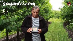 Как отпугивать скворцов от черешни - Рассказывает А. Маценко