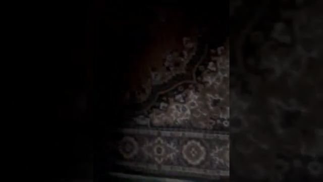Кристи плохо сильно болит живот!!!! смотреть онлайн