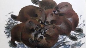 И.Соколов-Микитов  сказка "Листопадничек"