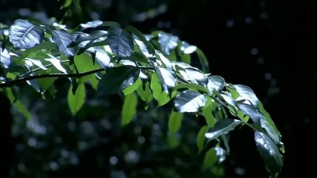 Наматрасник «Здоровый сон» «Тяньши» - Проморолик