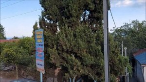 Солнечногорское Крым обзор пляж развлечения кафе жилье