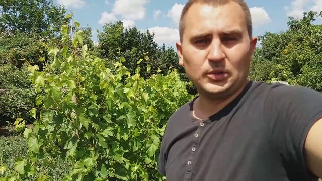 Ты его вырости и похорони!! соседская любовь!