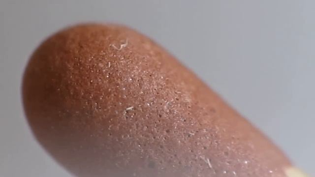 CANON SX20 with macro Raynox DCR-250 смотреть онлайн