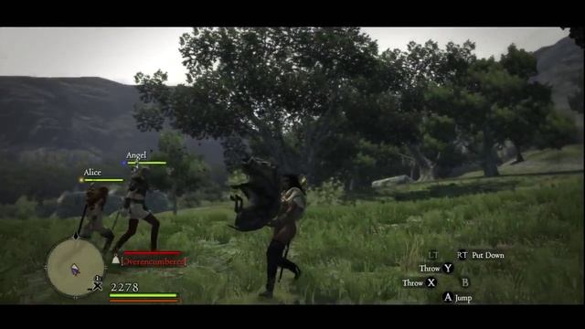 DD Babes play toss the boars - Dragon's Dogma смотреть онлайн