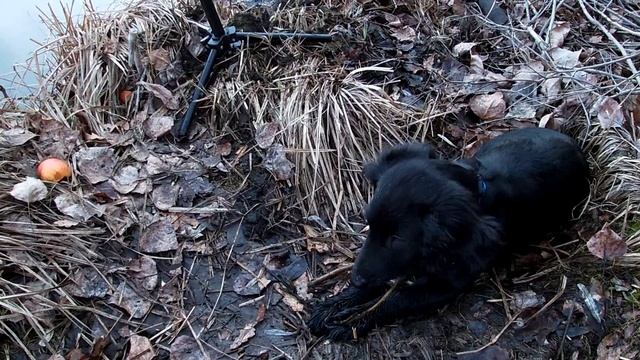 Рыбалка ранней весной на удочку! Первый поход Зайки! Март 2023! смотреть онлайн