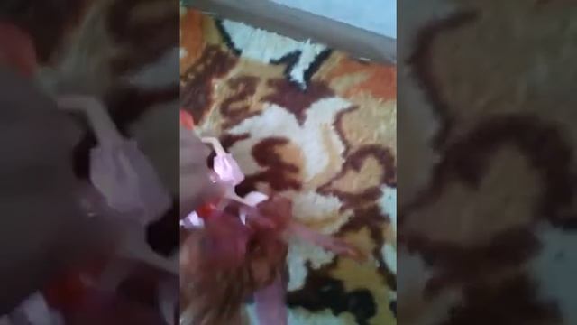 Обзор на подделку Блум радужный беливикс смотреть онлайн