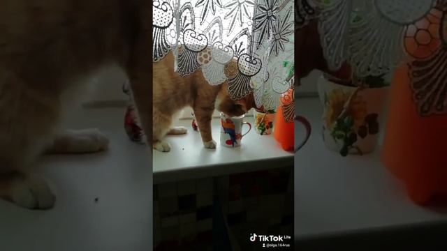 рыжий бестыжий смотреть онлайн