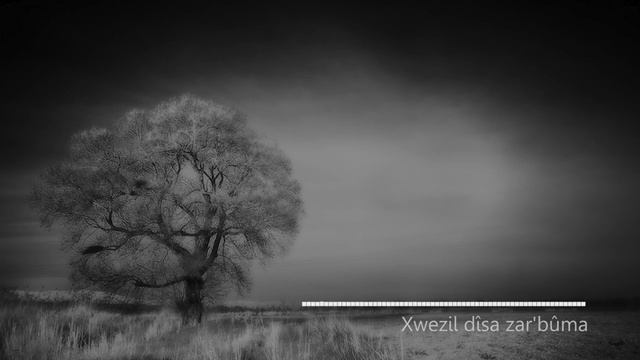 Smoye Shamo- Xazl Disa Zarbuma.mp4