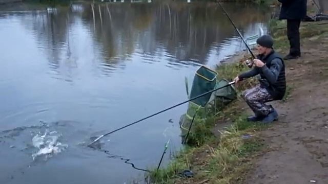 Платная рыбалка Пирогово - Коргашино смотреть онлайн