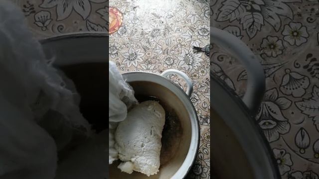 Приготовление домашнего творога из козьего молока 2 часть смотреть онлайн