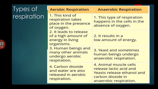 science chapter-10 (respiration in organisms) class -7 part-1 смотреть онлайн