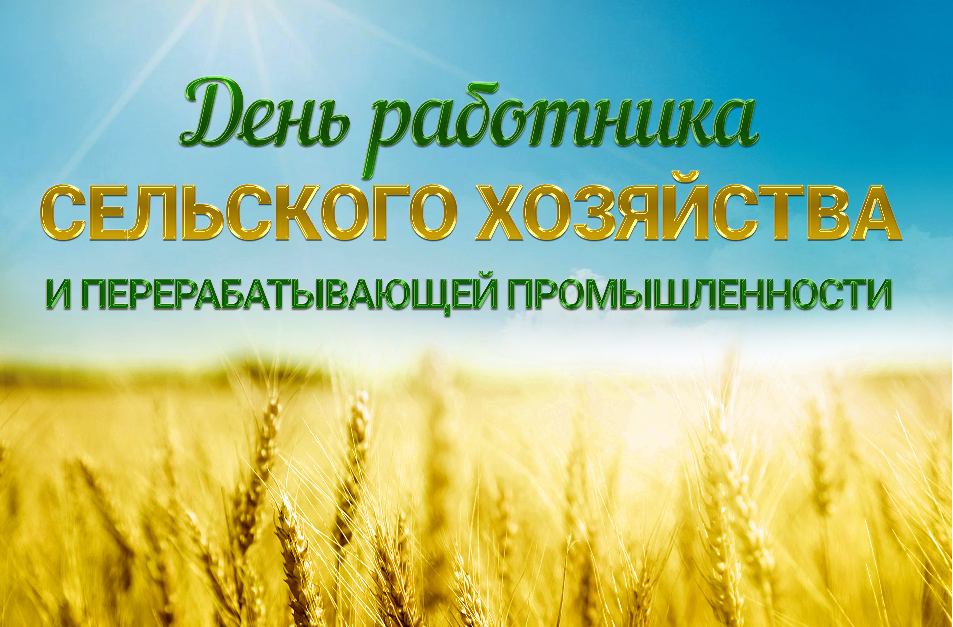 День работника сельского хозяйства 2022.mp4 смотреть онлайн