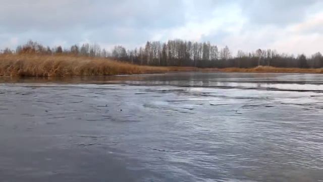 Canon EOS 1100D смотреть онлайн