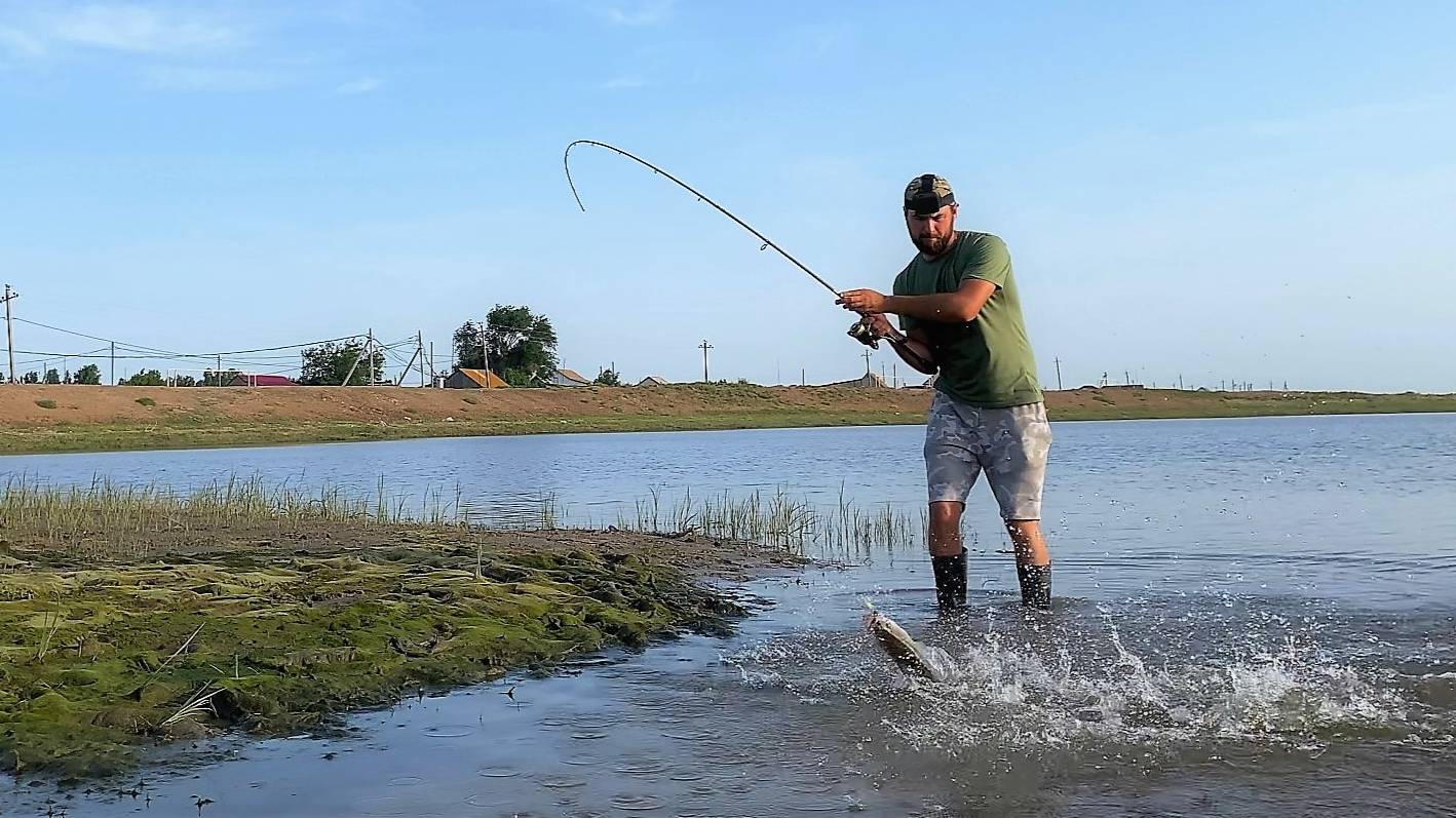ПОКЛЁВКА ЗА ПОКЛЁВКОЙ! ВОТ ЭТО РЕАЛЬНО ЖОР! СКОПЛЕНИЕ МАЛЬКА ЗАМАНИЛО СУДАКА и другую рыбу. смотреть онлайн