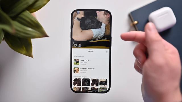 Everything NEW with Photos & Camera in iOS 17! смотреть онлайн
