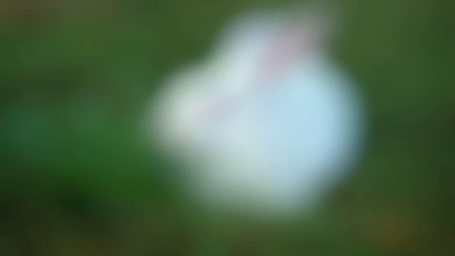 Самые Вдохновляющие Добрые Поступки Неизвестных Людей смотреть онлайн