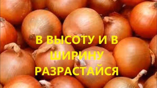 ЧТО НУЖНО ГОВОРИТЬ ПРИ ПОСАДКЕ ЛУКА смотреть онлайн