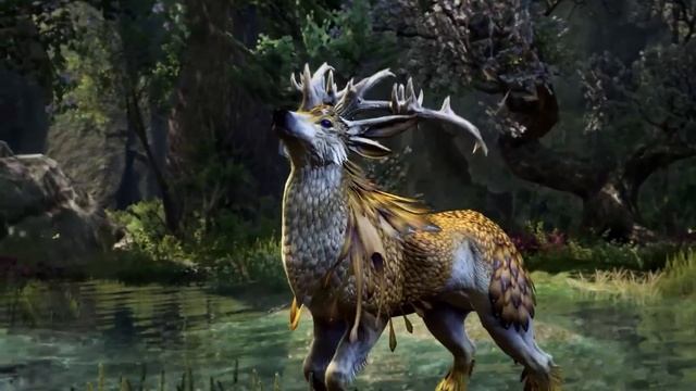 Фундаментальные законы построения Лора во вселенной The Elder Scrolls смотреть онлайн