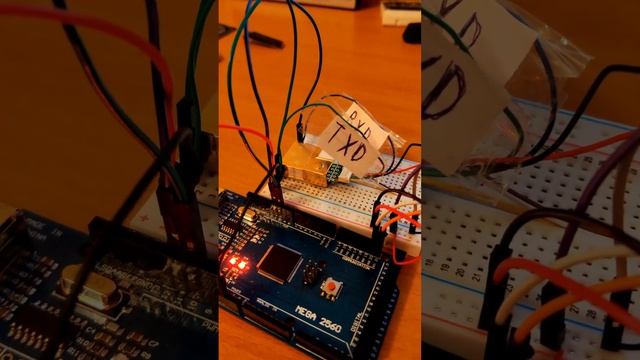 Как ChatGPT помог мне создать датчик углекислого газа на Arduino