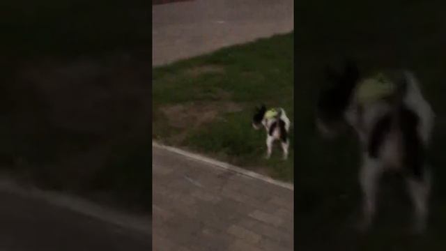 Бенита ??_?на прогулке ?.mp4 смотреть онлайн