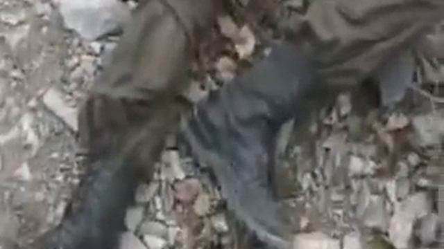 рр 503 мсп дарьял смотреть онлайн