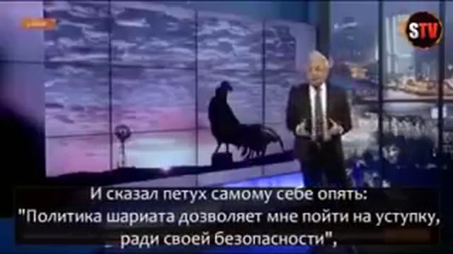 Сегодняшние Мусульмане