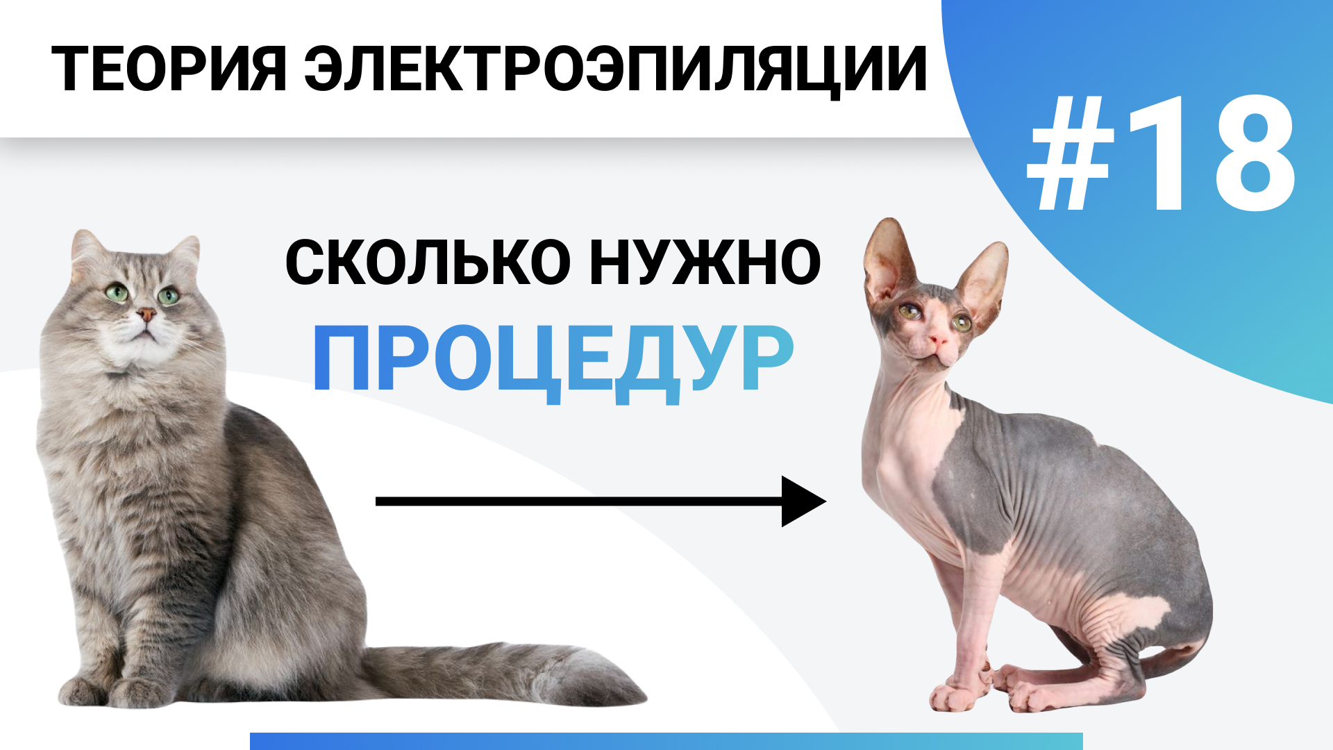 Урок №18. Когда ждать результат? Сколько нужно процедур электроэпиляции? Обучение электроэпиляция смотреть онлайн