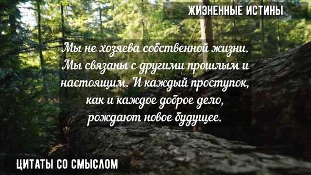 ЗНАТЬ бы Раньше эти СЛОВА! Жизненные Цитаты со СМЫСЛОМ! ДО СЛЁЗ смотреть онлайн