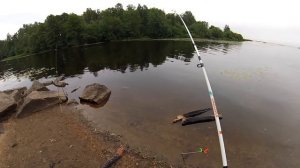 Черная речка, лещи рвут леску!!!