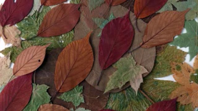 Velimir Chlebnikov poem. В.Хлебников, читает Вадим И. Филимонов смотреть онлайн