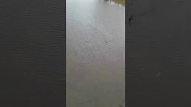 Для тех, кто поддержит любую беседу смотреть онлайн