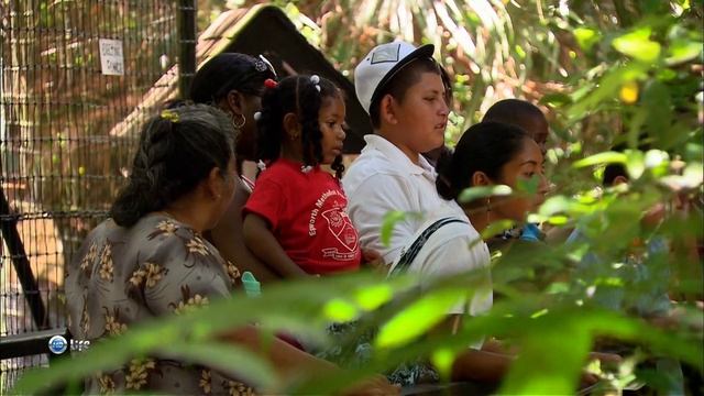 Зеленый рай. Белиз. Часть 3 смотреть онлайн