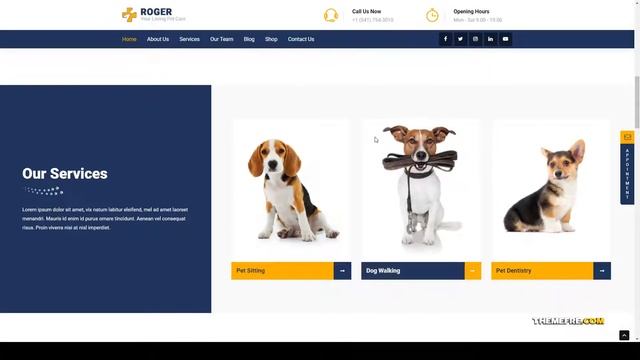 Roger - Pet Care WordPress Theme dog walking cats Mitsui смотреть онлайн