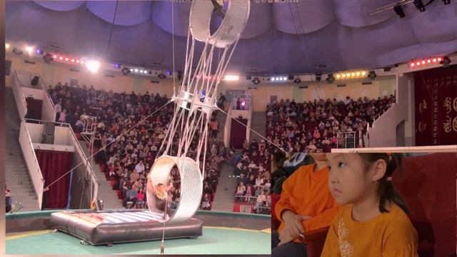 Цирк кольцо смерти Большой немецкий цирк Der Elefant #цирк #немецкийцирк династии Гартнер смотреть онлайн