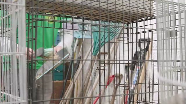 18_WiderWorld2e_SB2_Unit3_Video_WestGreen_3.6