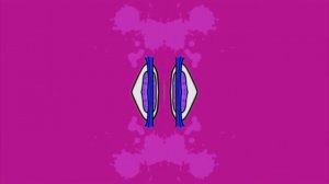 Профессор почемушкин почему от сладкого зубы портятся g Major 1000000