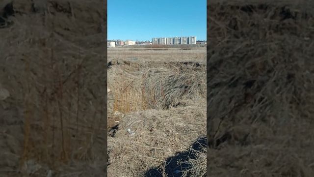 Глина для тандыра в поле смотреть онлайн